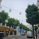 행정사법인 다행 이미지