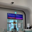 541 | 아시아나 OZ541 인천 프랑크푸르트 탑승후기, 이코노미 좌석 추천과 기내식 솔직리뷰