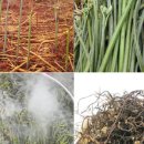 산내면 상황마을 이미지