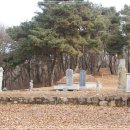 김여물 장군 묘 및 신도비 이미지