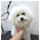 Hello멍 이미지