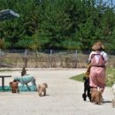 서서울동물병원 이미지