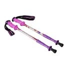 라이프스포츠 이미지