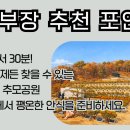 부장목장 이미지