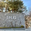 스플라스리솜 이미지