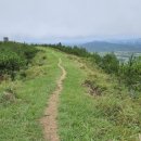 표선면-7 이미지