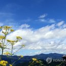 해바라기화원 - 태안군 군청2길 2 | 해바라기화원
