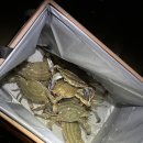 몽산포오션캠핑장 이미지