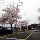 진양호캐리비안 | 진주 아이와 가볼만한 곳 &lt;진양호동물원&gt;
