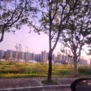 교하삼거리(3) | 파주 교하 두일초 인근단독주택단지 임장기