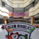 강원도공무원교육원 브런치