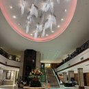 마르코호텔 | 세부시티호텔 추천 마르코 폴로 프라자 호텔 가성비좋은 10만원이하 4성급호텔