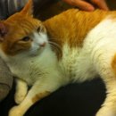 공은 공인중개사사무소 이미지