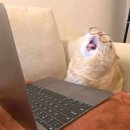 워드프로세서 1급 실기 이미지