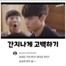카페아해뜰 | 신비한 힘을 가진 돌고래🐬