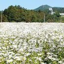 금산인삼랜드(통영) 이미지