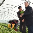 최양식농장 이미지