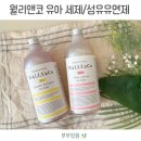 유아세탁세제 순하고 향좋은 월리앤코 온가족 빨래하기