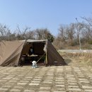 전남캠핑 ] 나불도에서 세마리 댕댕이와 대환장 캠핑 즐기기