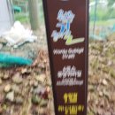 원주굽이길 4코스 꽃양귀비길 | 원주굽이길4코스(꽃양귀비길), 깎은봉(371m), 옥녀봉(267m), 옹리봉(264m), 장대봉(277m)