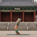 강가요가 - 함양군 상림2길 22 | 강가요가