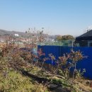 우석농장 2 이미지