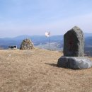 유림-1034 이미지