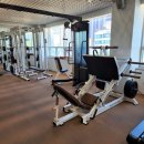 더핏플러스 이미지