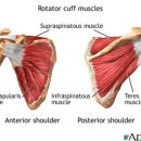 S&C 트레이닝 센터 이미지