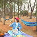 어프리데이(Afreeday) 페스티벌 피크닉 필수템 논알콜 수제맥주 후기, GS편의점에서 간편하게 구매 가능