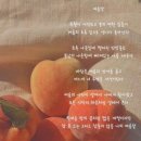 여름;달