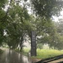 야동 경로당 이미지