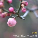 구하고 찾고 두드리라 - 여 정//01-구하고 찾고 두드리라 (복음성가 CCM 신보 미리듣기 MP3 가사) 이미지