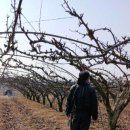 (주)선제 - 15152 | (주)선제