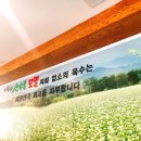 The 건강한 산수옥 모밀 | 담양 메타프로방스 맛집 더운 여름 딱 어울리는 더 건강한 산수옥모밀