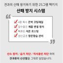 다아상점