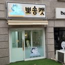 뽀송캣 이미지