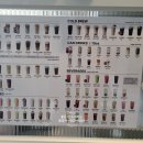 카페051 | 기장 유림노르웨이숲센트럴 상가 카페 추천, 051카페 메뉴부터 분위기까지 솔직 후기