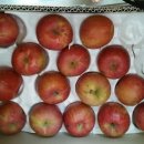 병규농장 이미지