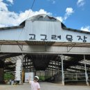 차원목장 | 조카랑 파주 목장 체험 🐄고구려목장 솔직 후기