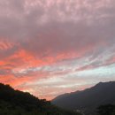 옥천1382