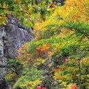 주왕산시외버스터미널 이미지