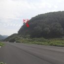 신서면-1 이미지