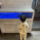 조개집봉곡점 이미지