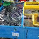 이모상회 이미지