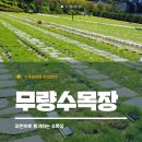 희망목장 | 경기도 무량수목장, 합리적 가격과 품격 있는 장지 선택