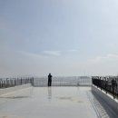 강화 호수의 집 | 고양이와 행복했던 시간, 인천 강화도 석모도 오우스카라반캠핑장 후기