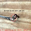 에버그린 이미지