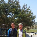 서정초교 이미지