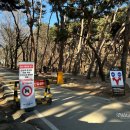 죽림 | 강화도여행 가볼만한곳 사찰 전등사 주차,죽림다원 카페 후기